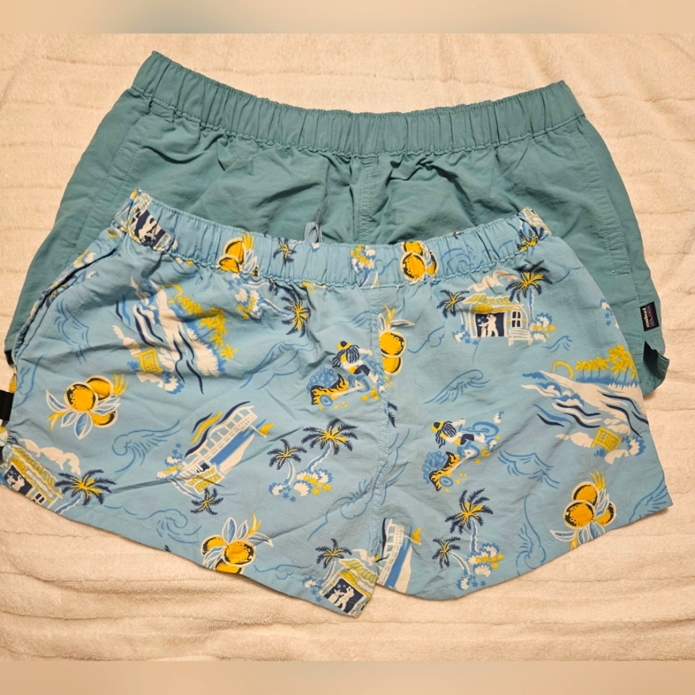 Patagonia Size L Shorts